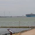 IMG_1072436