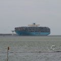 IMG_1072438