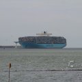 IMG_1072439