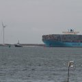 IMG_1072447
