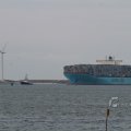 IMG_1072448