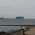 IMG_1072449