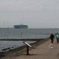 IMG_1072451
