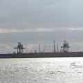 IMG_1072454
