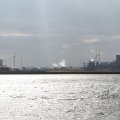 IMG_1072455