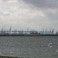 IMG_1072456