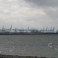 IMG_1072457