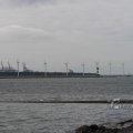 IMG_1072458