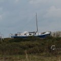 IMG_1072463