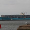 IMG_1072474