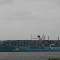 IMG_1072475