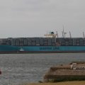 IMG_1072477