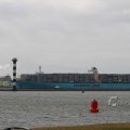 IMG_1072482