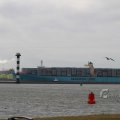 IMG_1072483