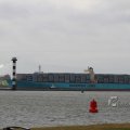 IMG_1072484