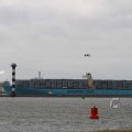 IMG_1072486