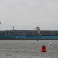 IMG_1072487