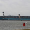 IMG_1072490