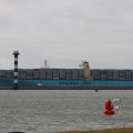 IMG_1072491