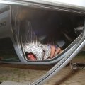 IMG_1072861