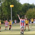 IMG_1073237