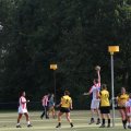 IMG_1073381