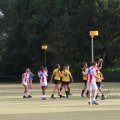 IMG_1073387
