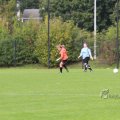 IMG_1073105