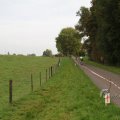IMG_1074804