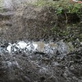 IMG_1075606