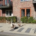 IMG_1077006