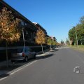 IMG_1077012
