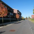 IMG_1077016