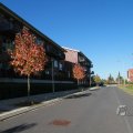 IMG_1077018