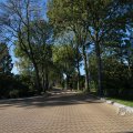 IMG_1077019