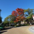 IMG_1077025
