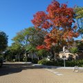 IMG_1077027