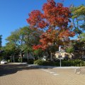IMG_1077028
