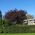 IMG_1077076