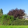 IMG_1077078