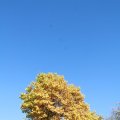 IMG_1077082