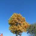IMG_1077086