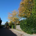 IMG_1077095