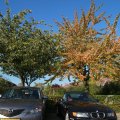 IMG_1077133
