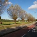 IMG_1077139