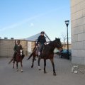 IMG_1084338
