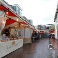 IMG_1084678