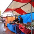 IMG_1084684