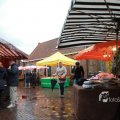 IMG_1084695