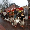 IMG_1084815